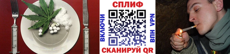 Canna-Cookies марихуана  цены   Моздок 