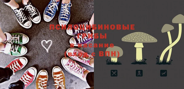 твердый Михайловка